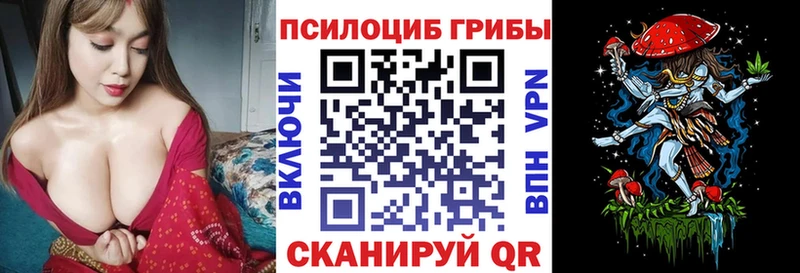 купить закладку  Татарск  Псилоцибиновые грибы Magic Shrooms 